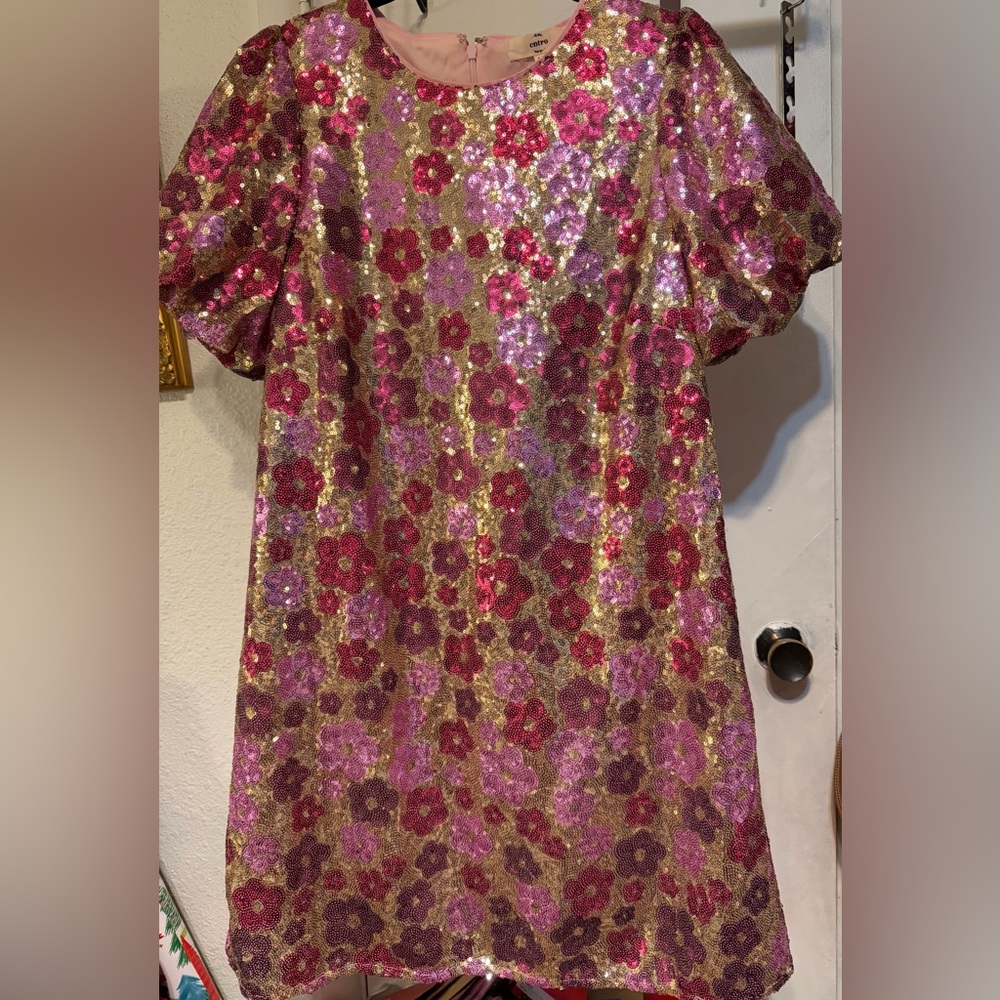 Entro Pink and Purple Floral Sequin Dress